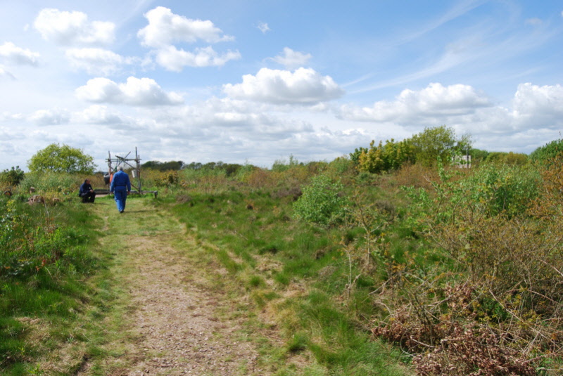 Top of Old Res.