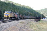 UP Coal train