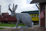 Large Jackalope